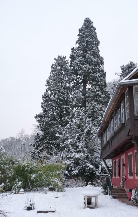 Gite "Cadichon" Munster  Exterior foto